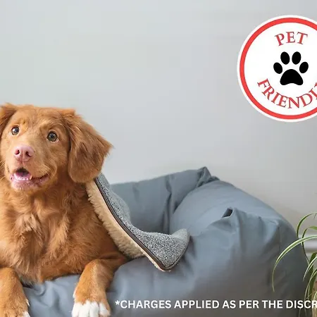 Oyo The White Horse, North Yorkshire Hotel