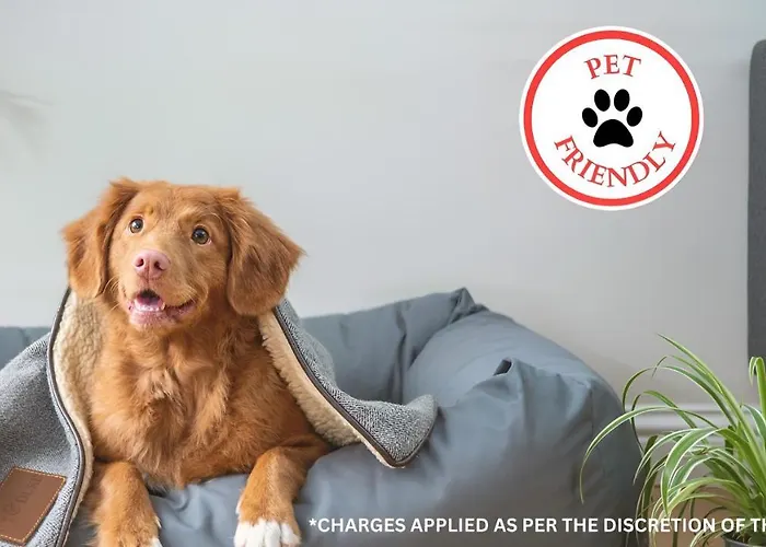 Oyo The White Horse, North Yorkshire Hotel